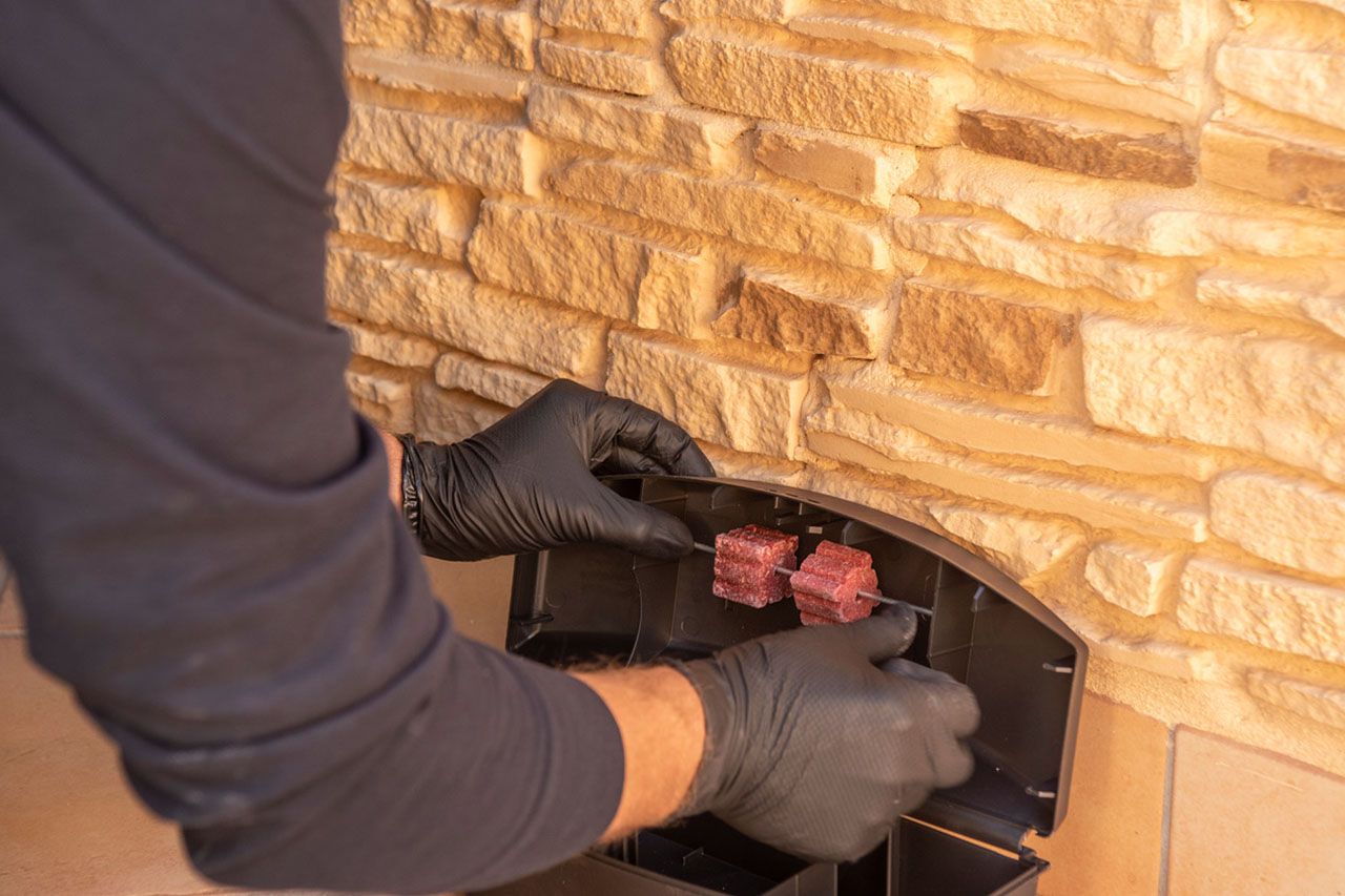Customised Pest Control Plan baiting a mouse
